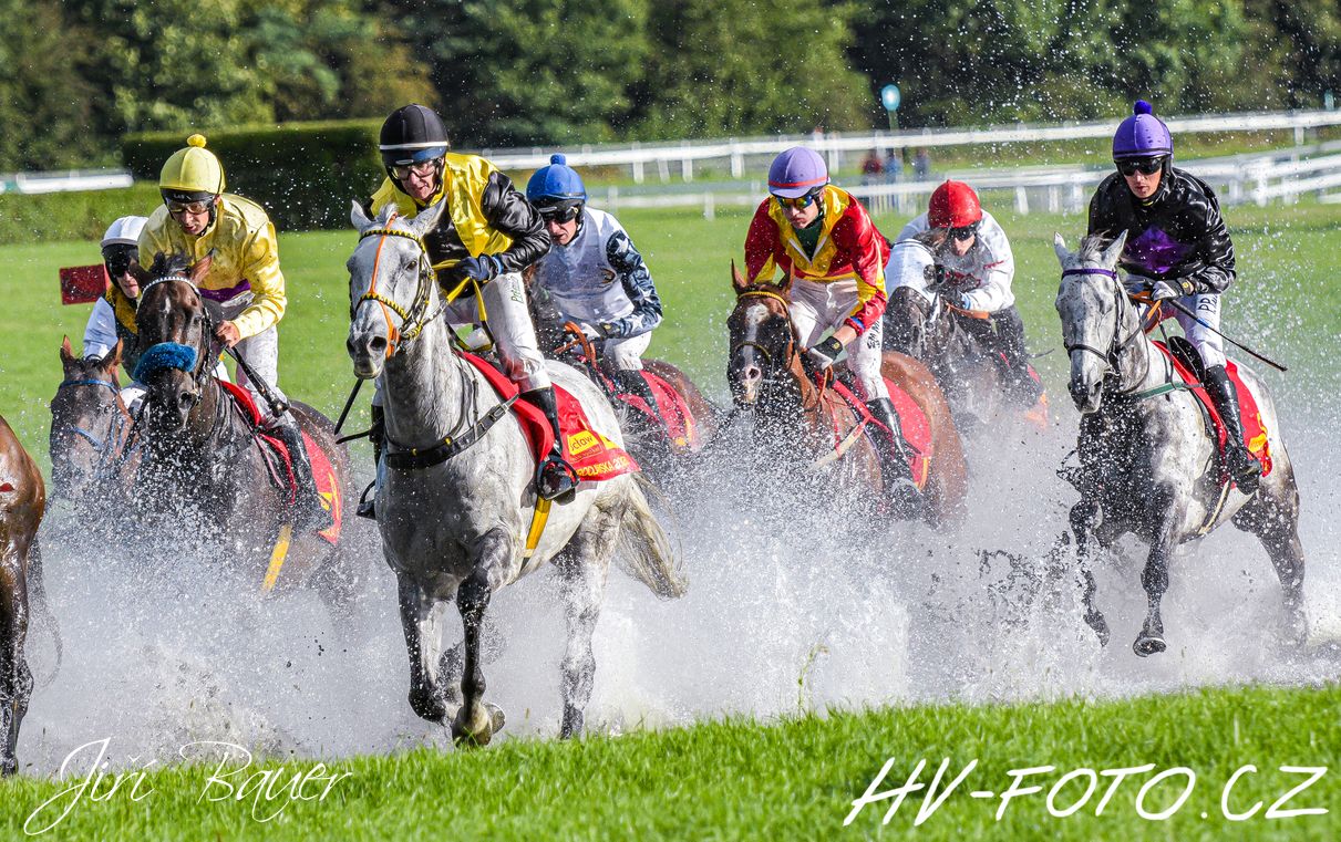 DSC_2353 kopie.jpg